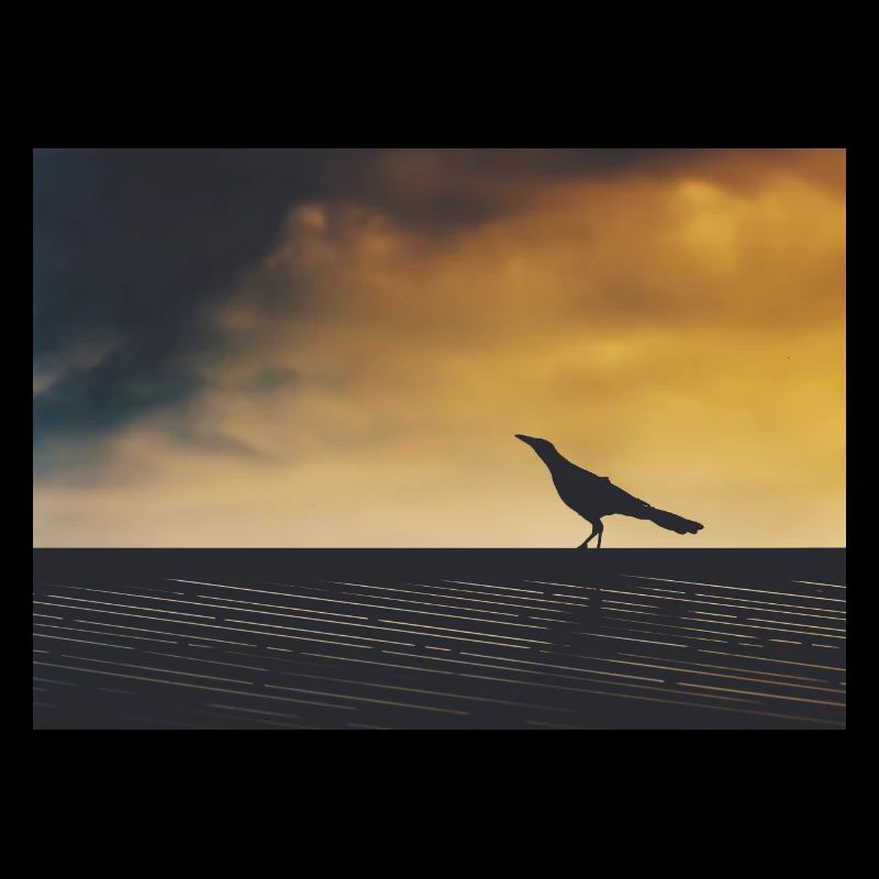 Crow exploring