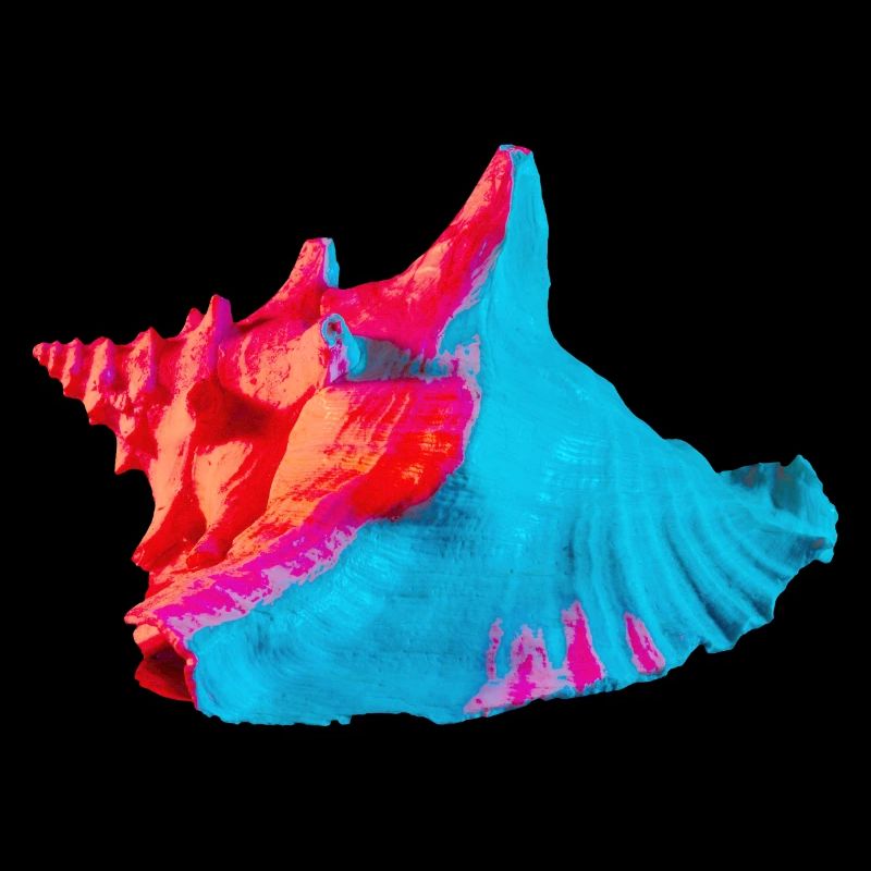 Pop Art Shell