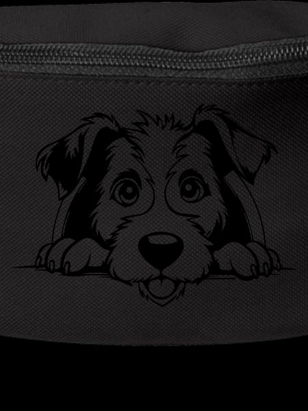 Fox-terrier