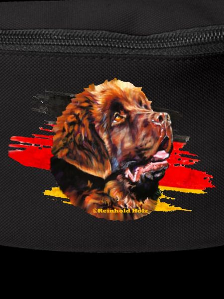 Newfoundland - Neufundländer