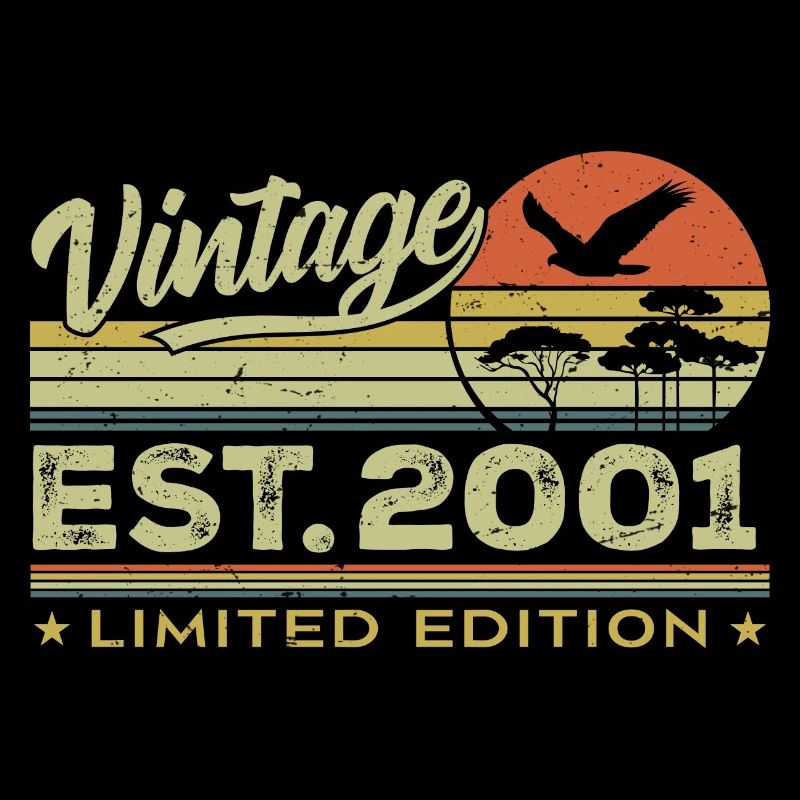 Vintage 2001 Awesome Since 2001 Gift 2001 Retro