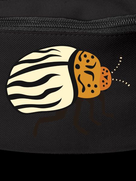 Potato beetle