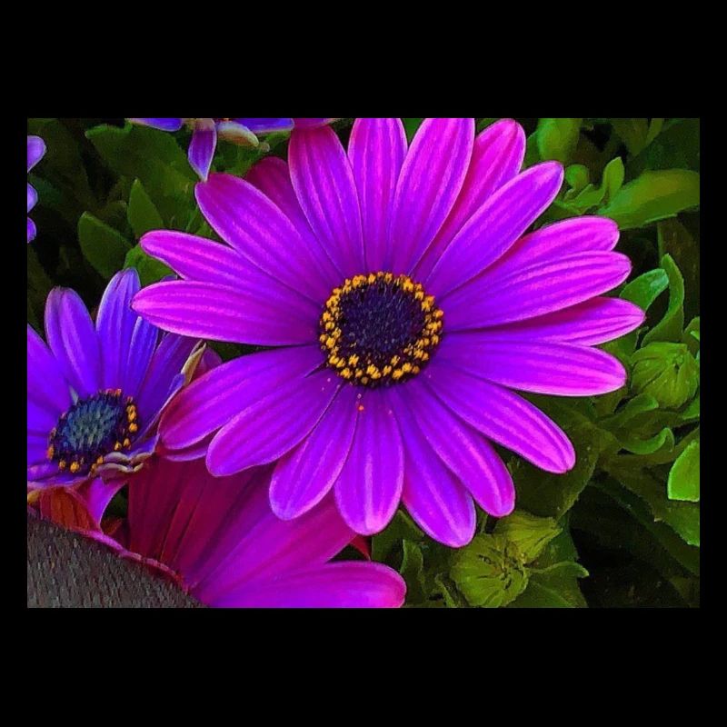 Blumen