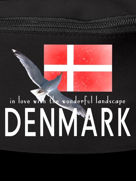 Dänemark Danmark Möwe