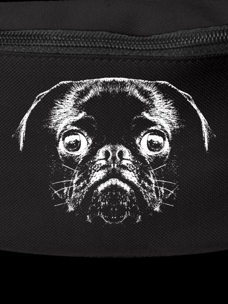 Mops / Gesicht / Kopf