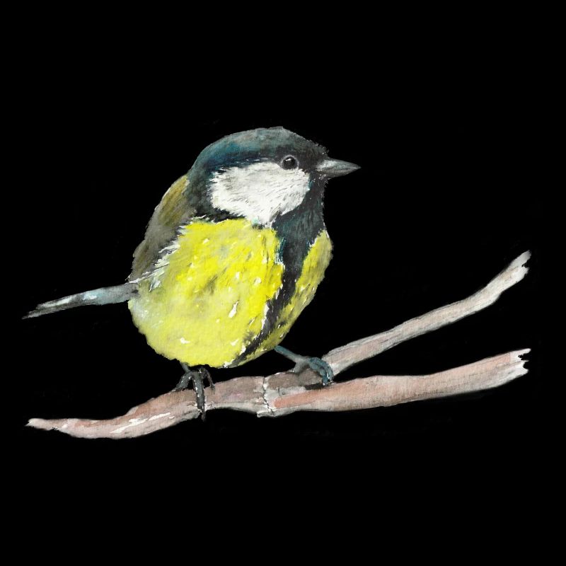 mésange