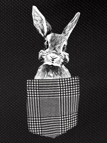 Rabbit in breast pocket