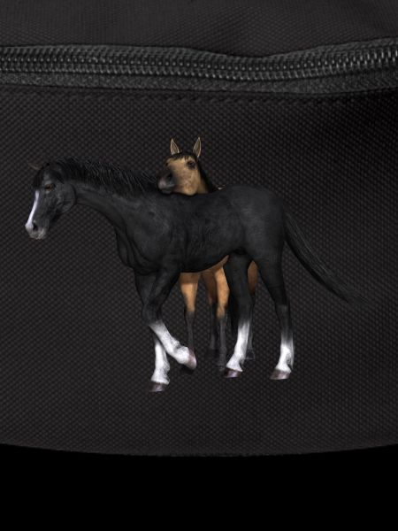 horse