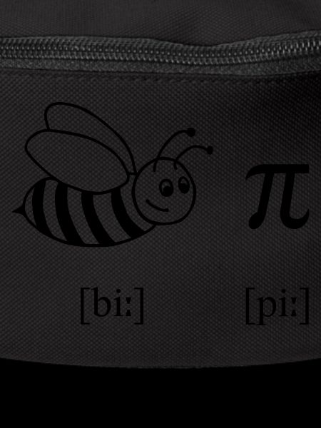 Bee Pi