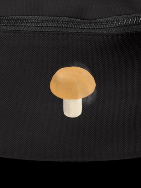 champignon