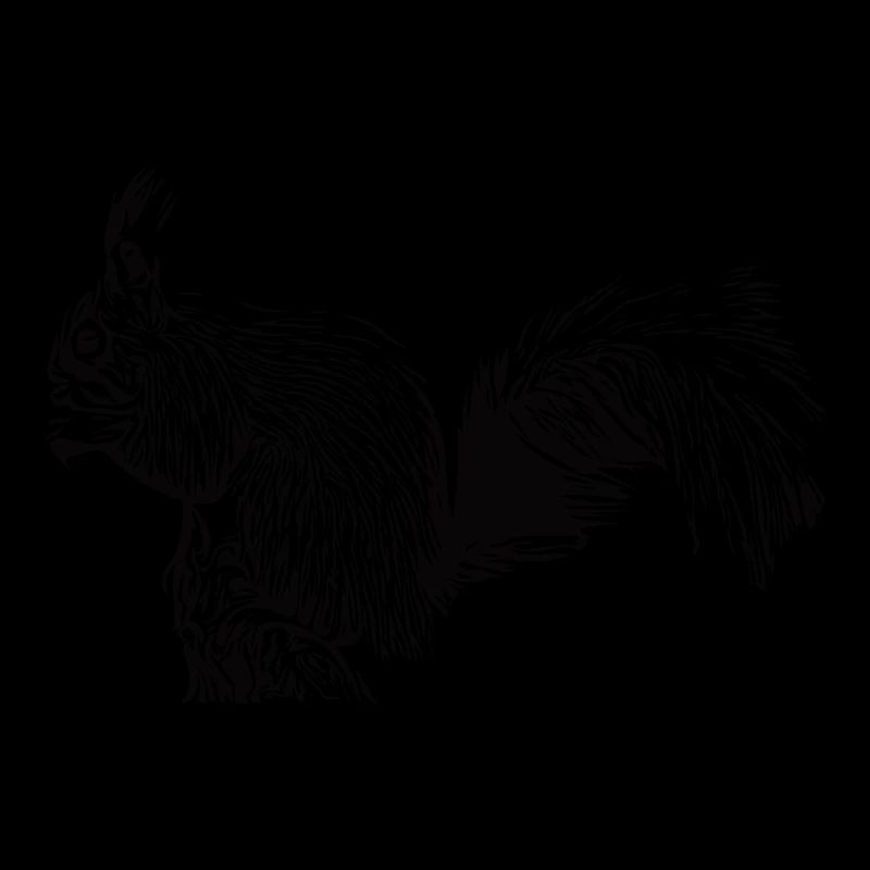 Drollful squirrel