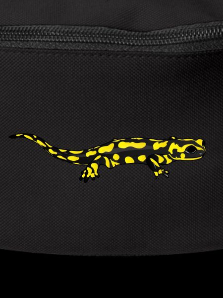 Salamander
