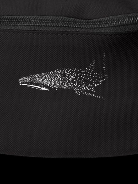 Whale shark