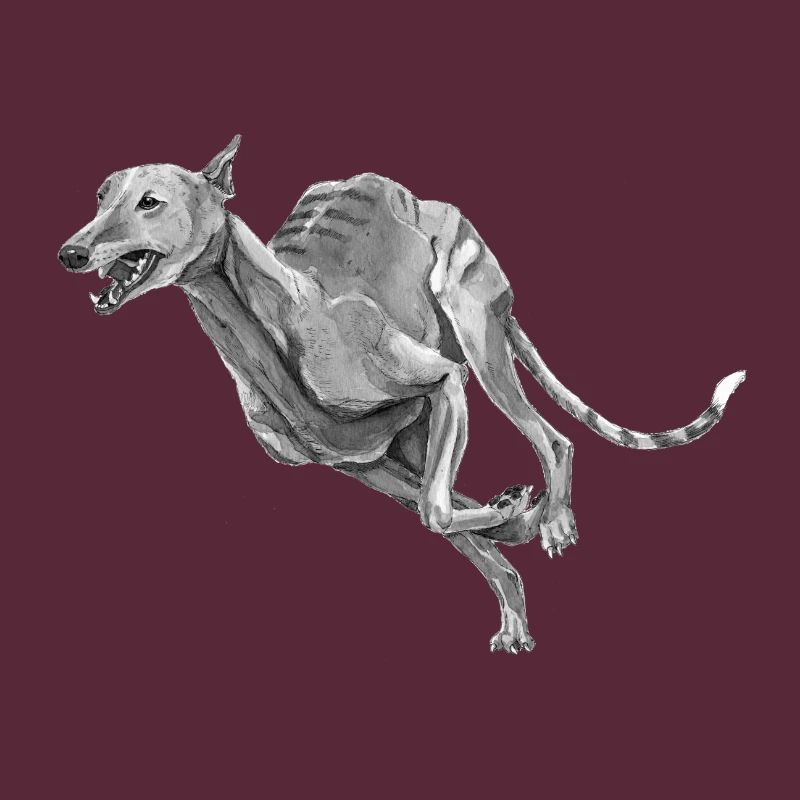 Windhund