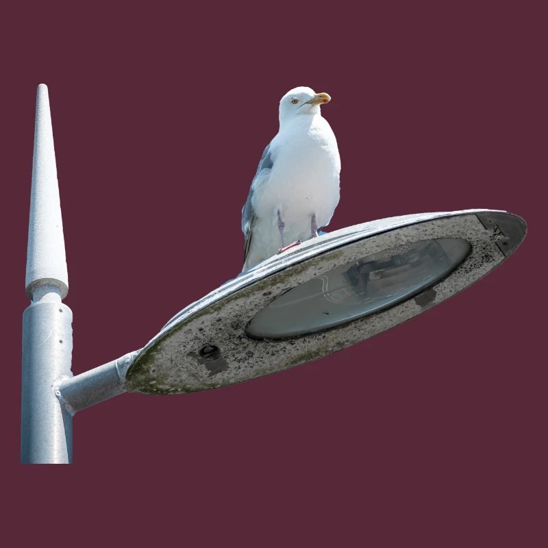 Möwe auf einer Lampe Post