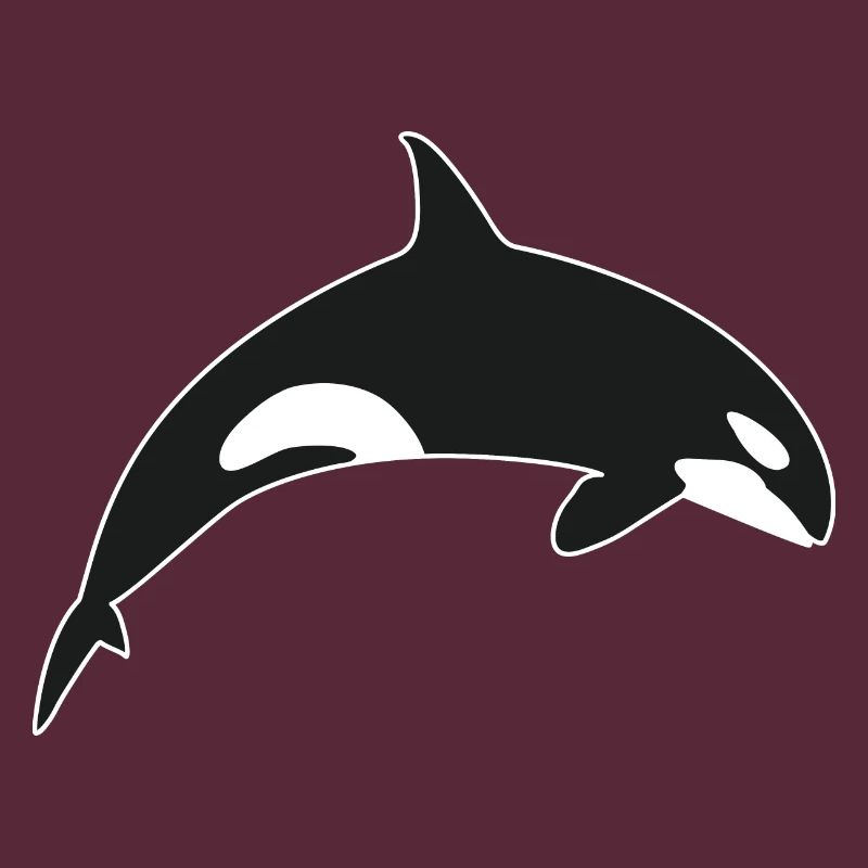 Schwertwal Orca Killerwal