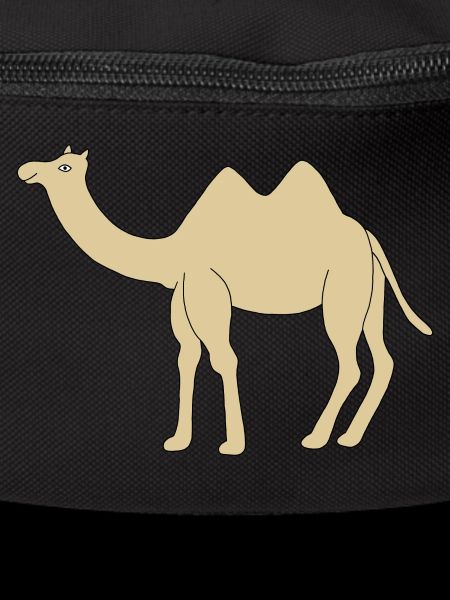 Lonely camel