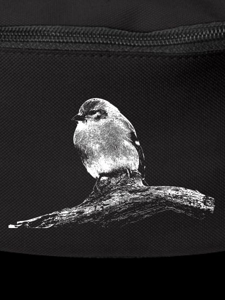 Little Bird