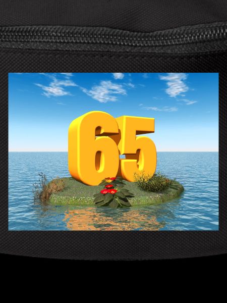 Year 65