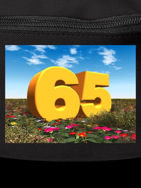 Year 65