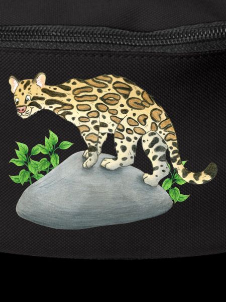 petit ocelot