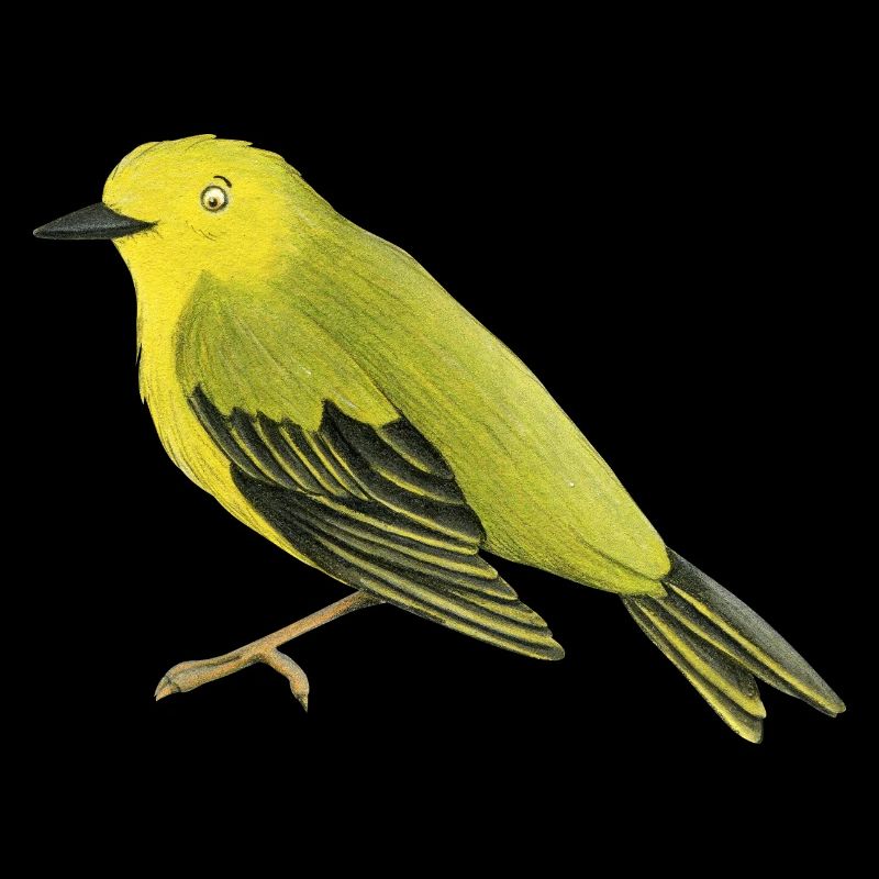Waldsänger