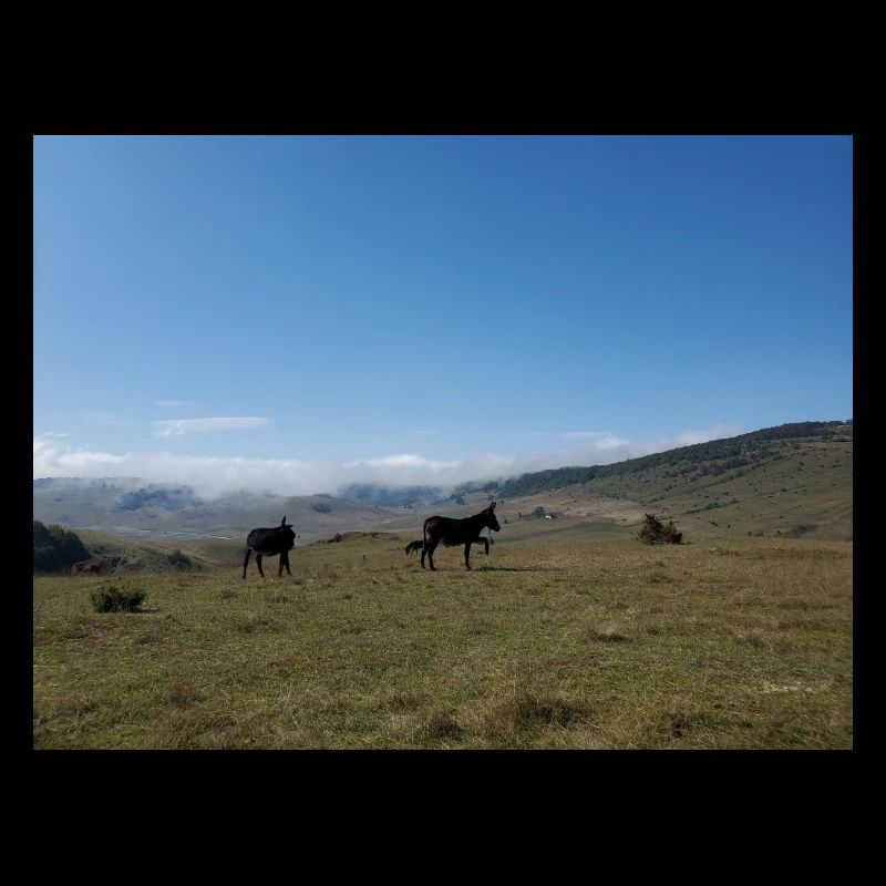 Ânes, Montagnes, Prairies