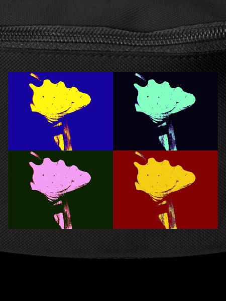 Shell Imagination