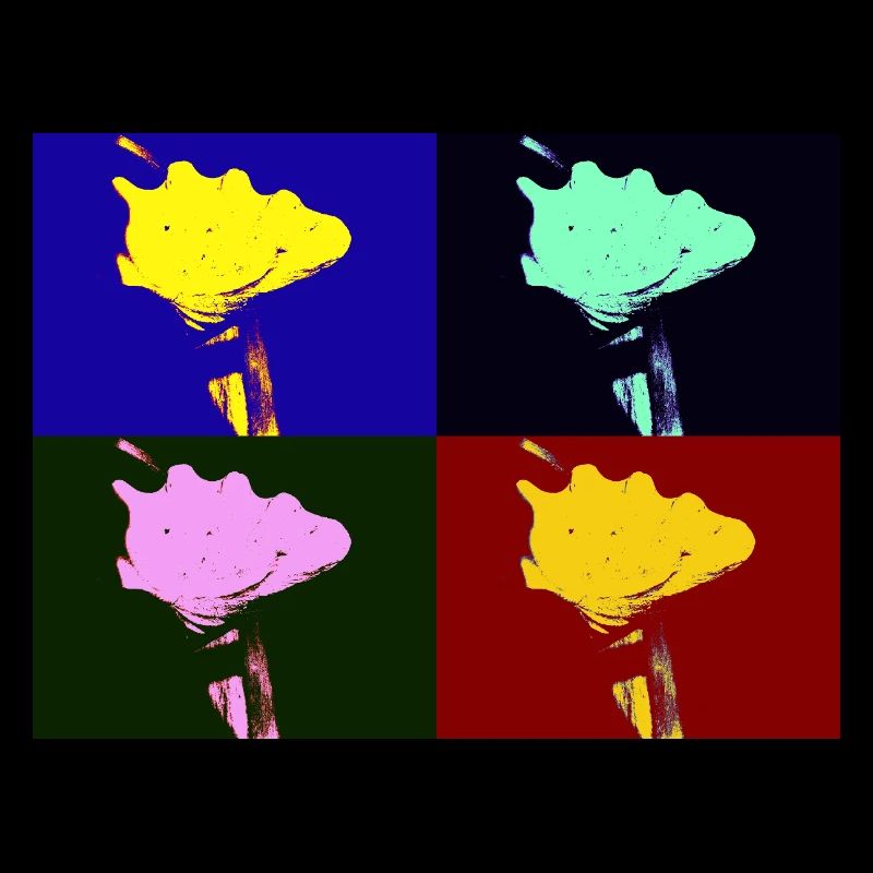 Shell Imagination