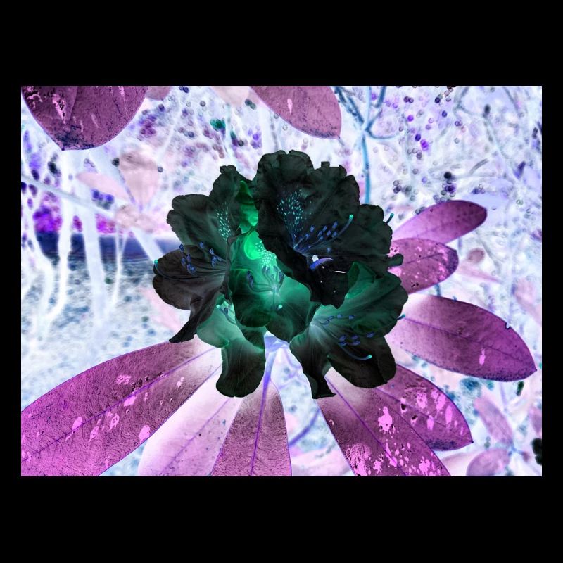 Neonblumen Hyperflora-Arrangement