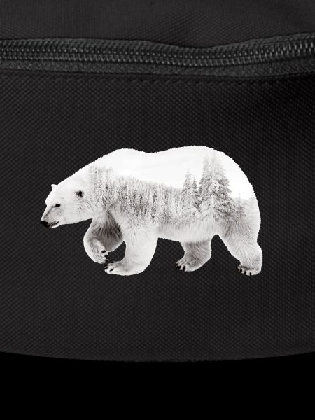 Arctic bear
