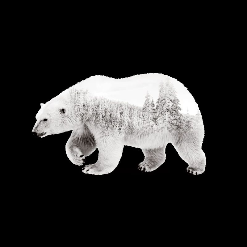 Arktischer Bär