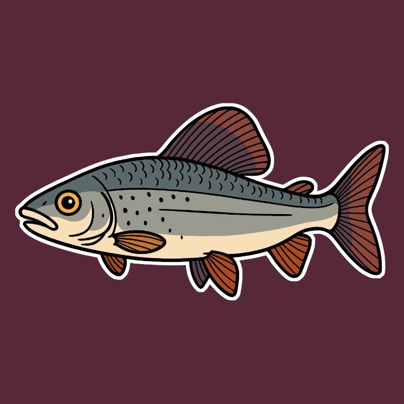 Fisch Äsche
