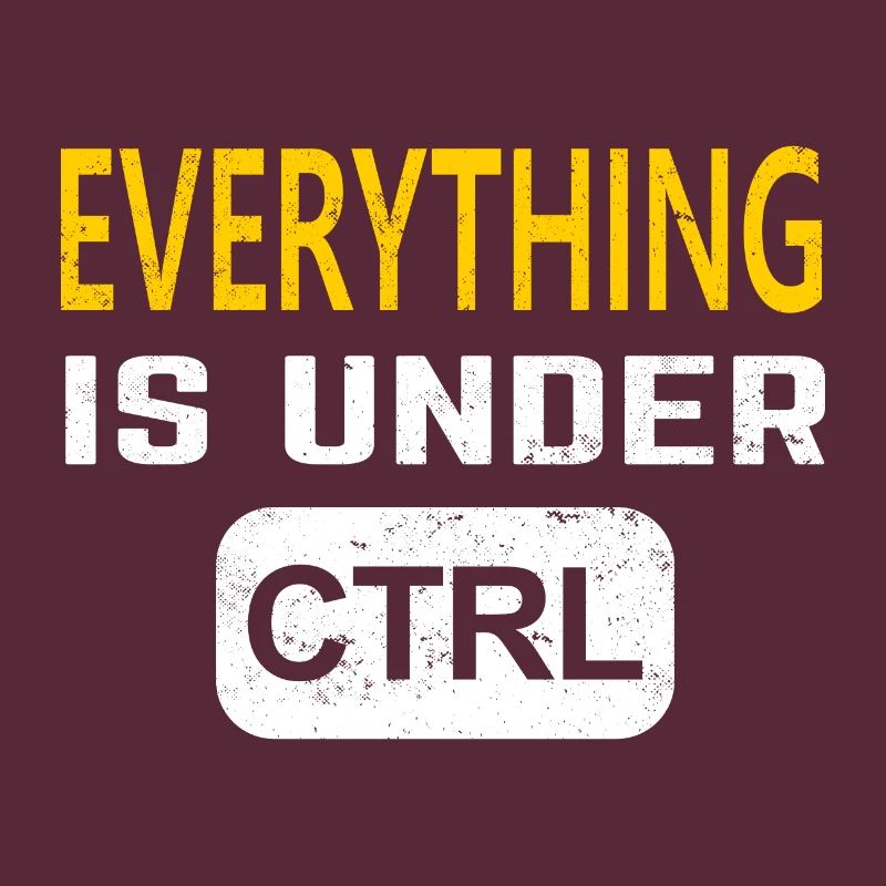 Programmer software developer