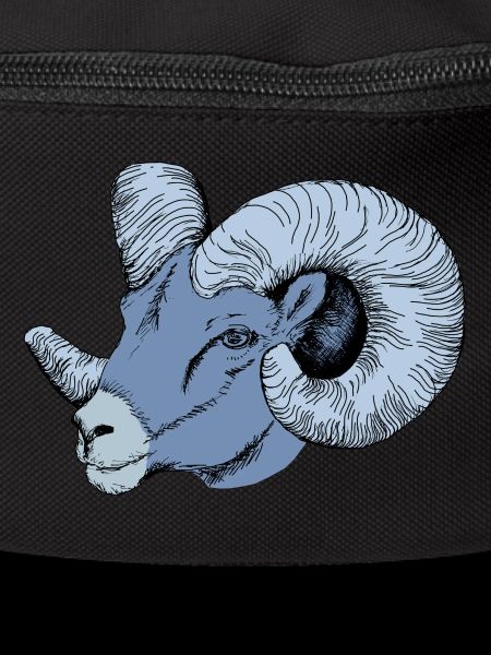 Aries - Widder