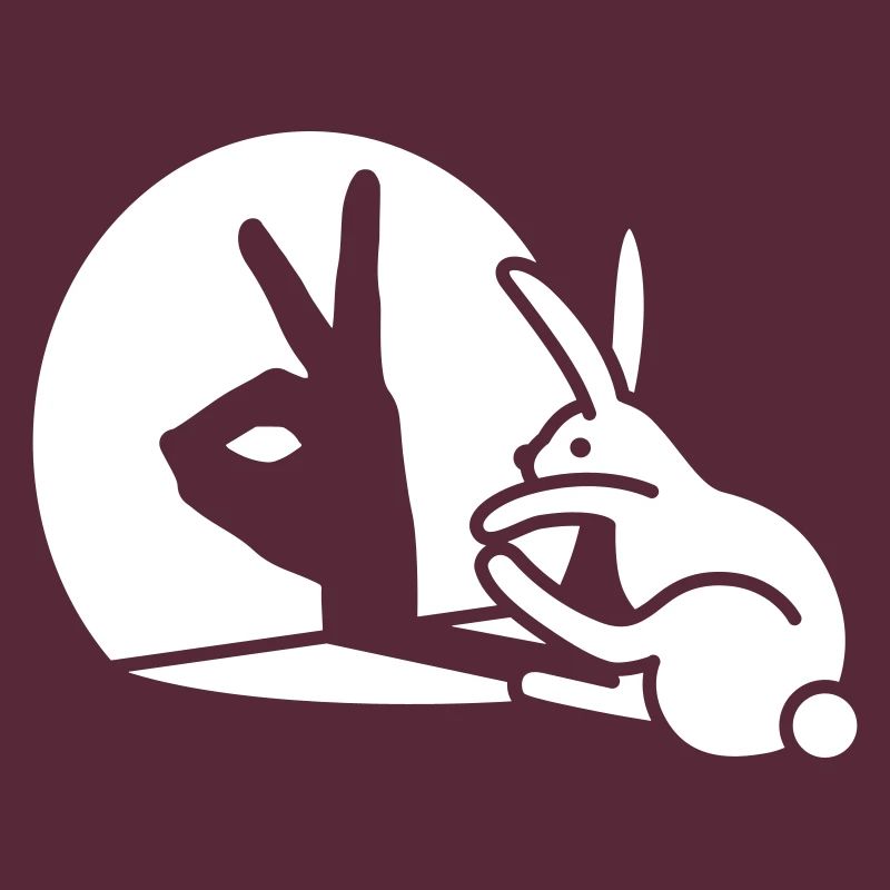 Funny Rabbit Hand Shadow Projection Rabbit