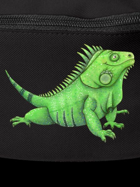 drôle d’iguane