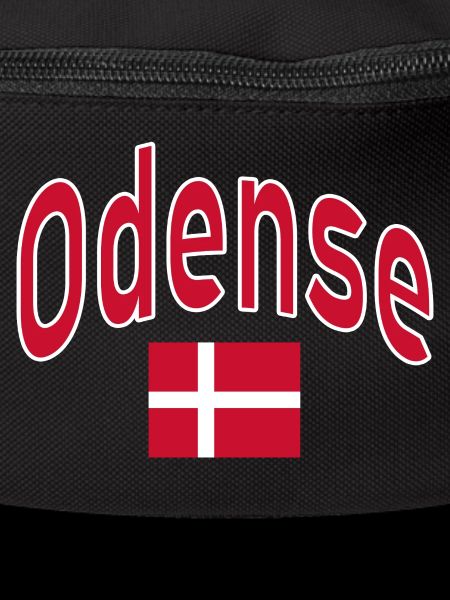 Odense Denmark flag