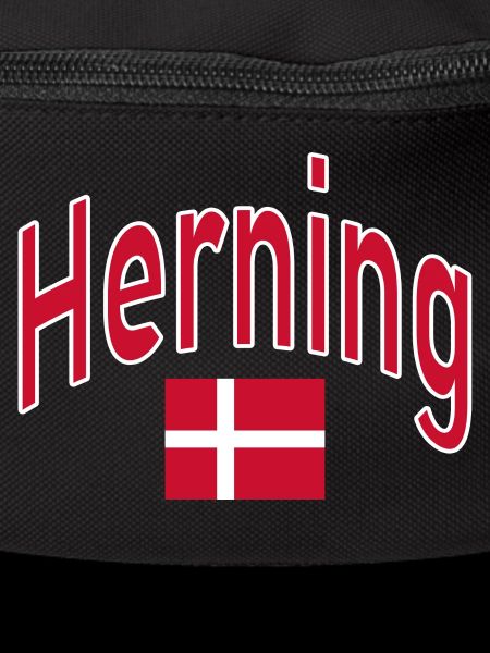 Herning Denmark flag