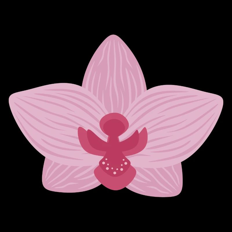 Lilac Orchid