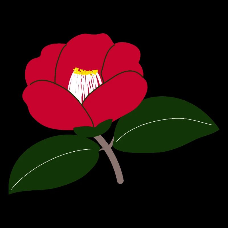 Red Camellia Blossom Illustration2