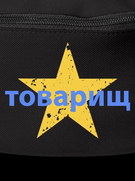 товарищ