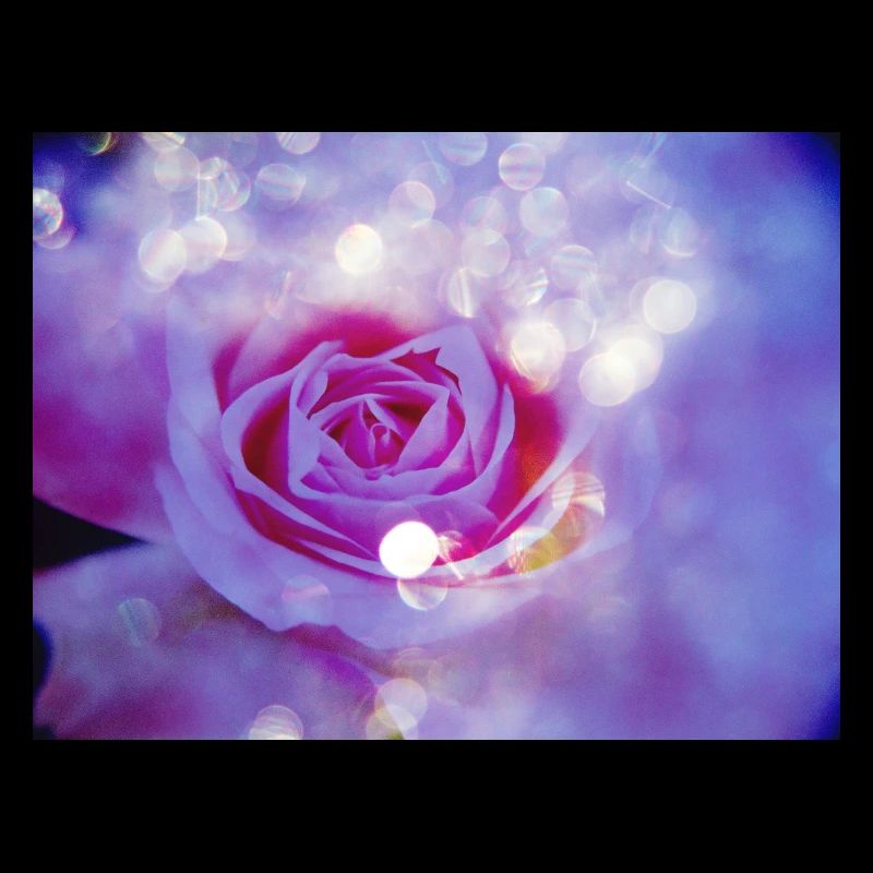 Rose's bright multiple exposure