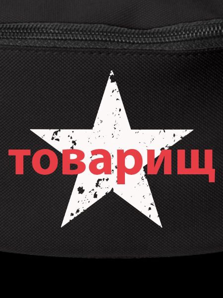 товарищ