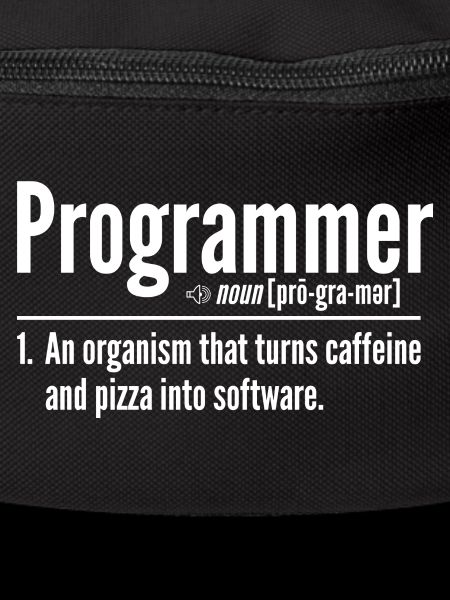 Programmer