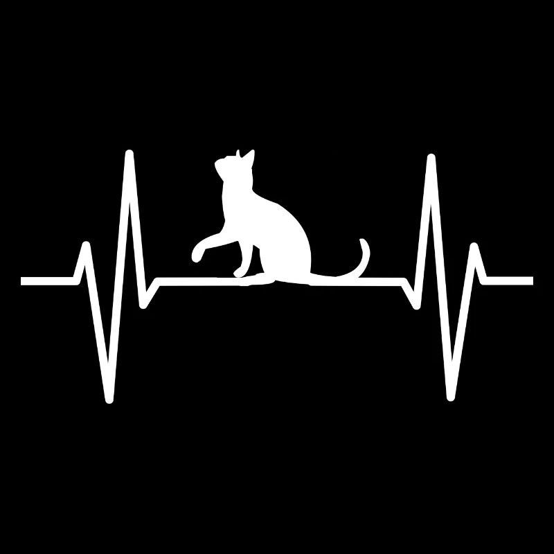 Herzschlag Katze