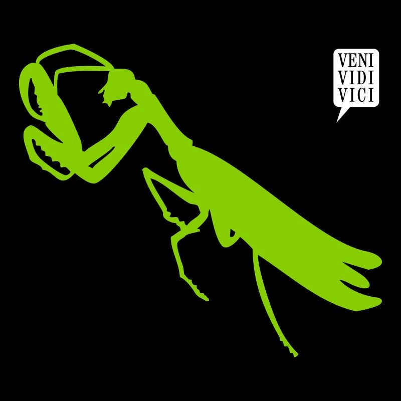 Gottesanbeterin / mantis (1c)