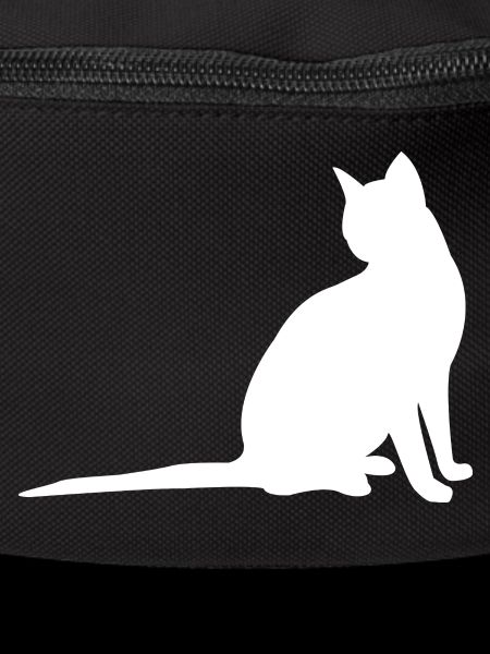 Katze
