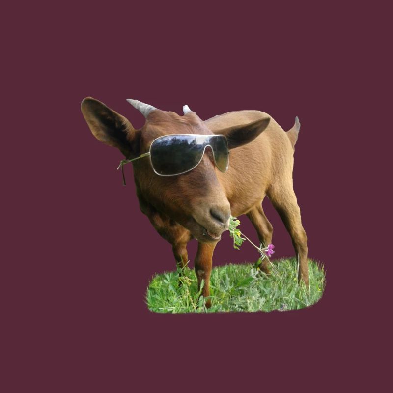 Ziege mit Brille