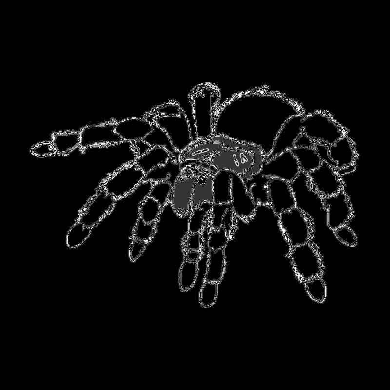 Tarantel, Spinne, große Spinne , schwarz
